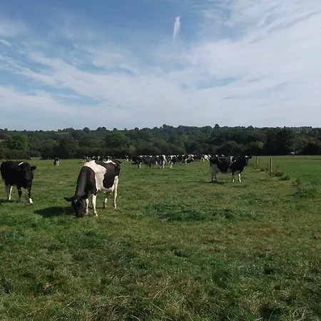 Coolmore Agri Farmhouse 5* Thomastown (Kilkenny)